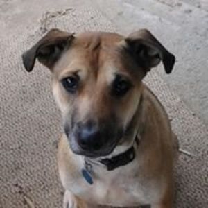 Meet your Posher, Ginny